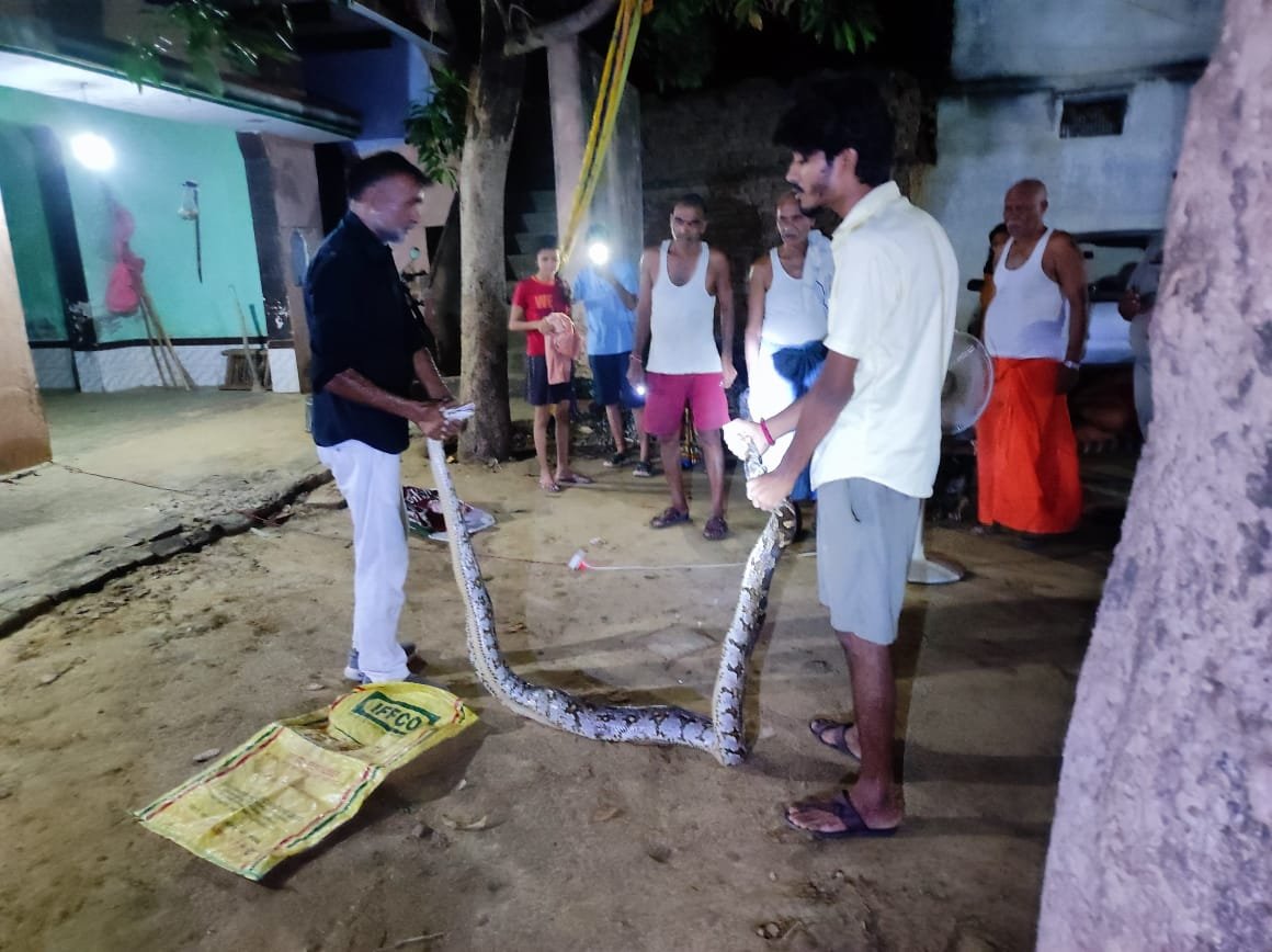 रात में चल रहा था लिट्टी चोखा का प्रोग्राम, बरामदे में निकला विशालकाय अजगर, सभी के उड़े होश